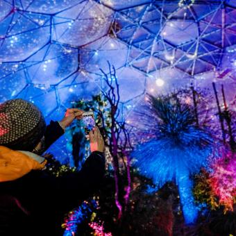 Visitor taking a photo in the rainforest